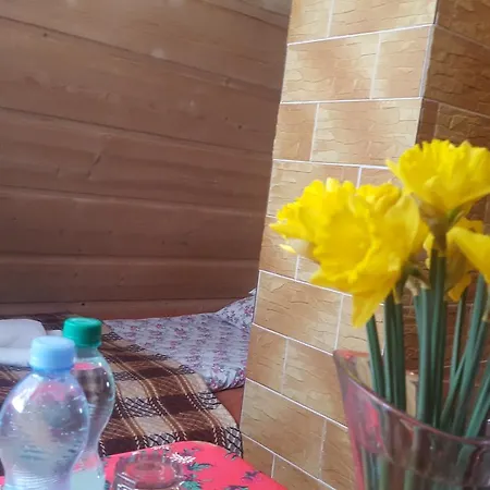 Alojamento de Acomodação e Pequeno-almoço Lesne Zacisze