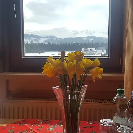 Lesne Zacisze Alojamento de Acomodação e Pequeno-almoço 3*