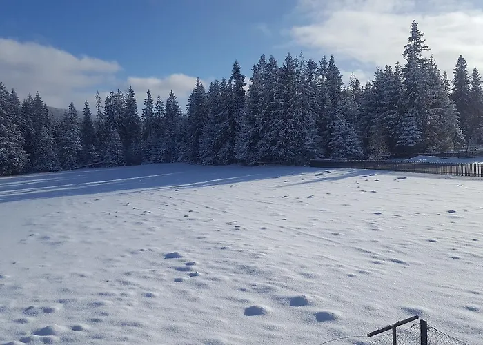 לינה וארוחת בוקר Lesne Zacisze